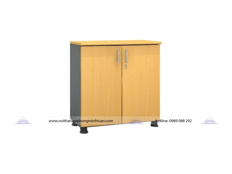 Tủ Tài Liệu Cao Cấp Fami SM6220FH