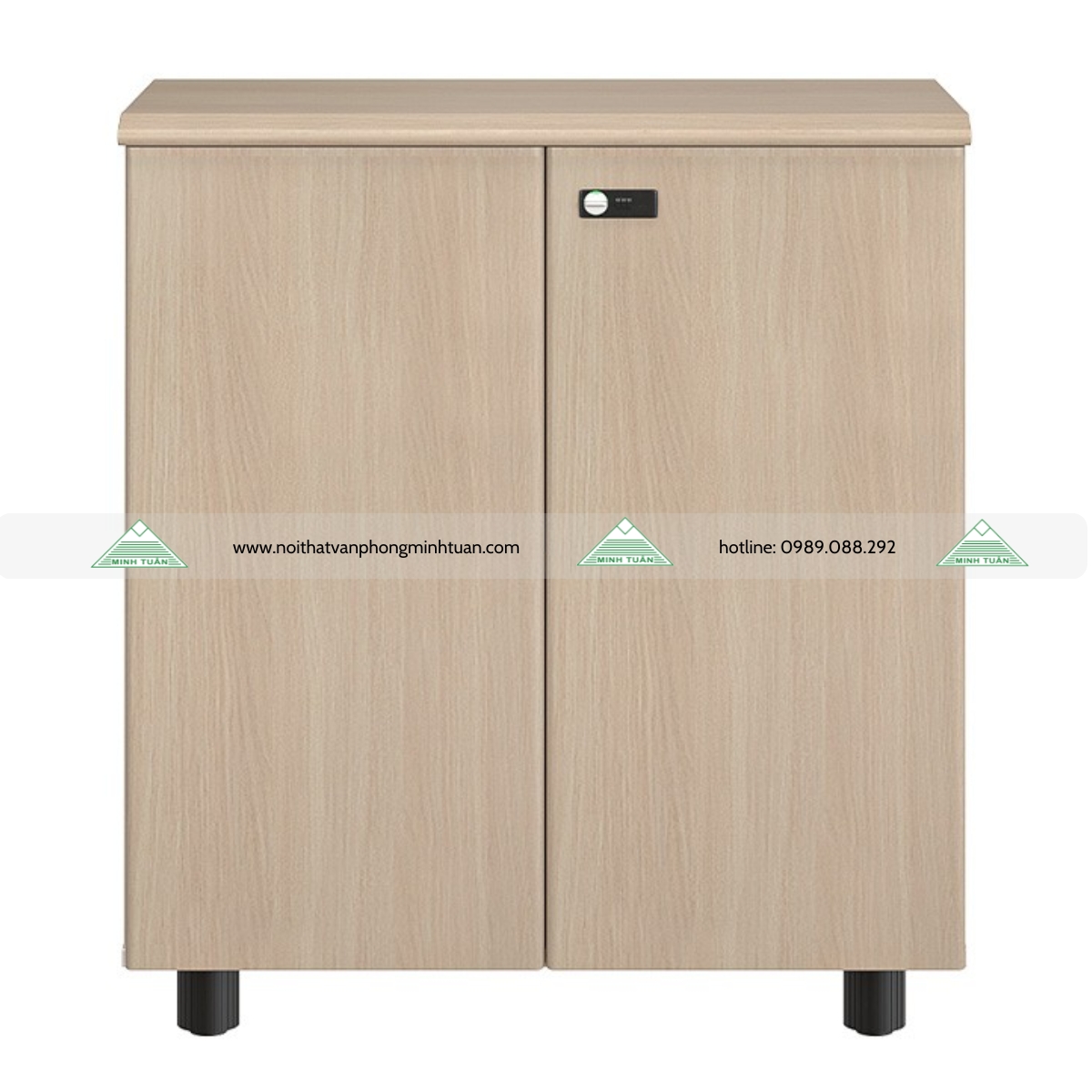 Tủ Tài Liệu NTV880D