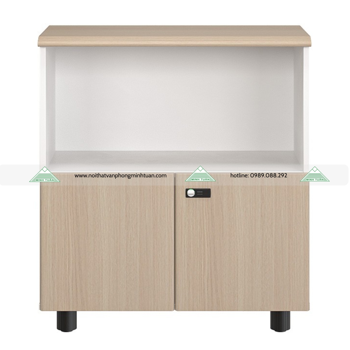 Tủ Tài Liệu NTV880SD