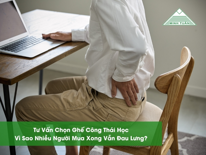 Tư Vấn Chọn Ghế Công Thái Học: Vì Sao Nhiều Người Mua Xong Vẫn Đau Lưng?